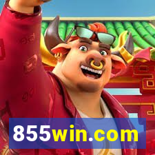 855win.com