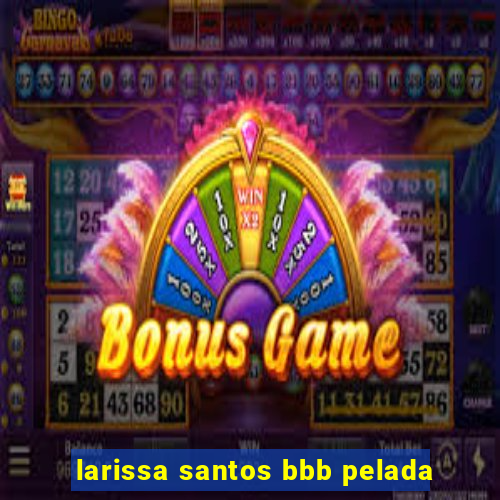 larissa santos bbb pelada