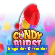 bingo dos 5 sentidos