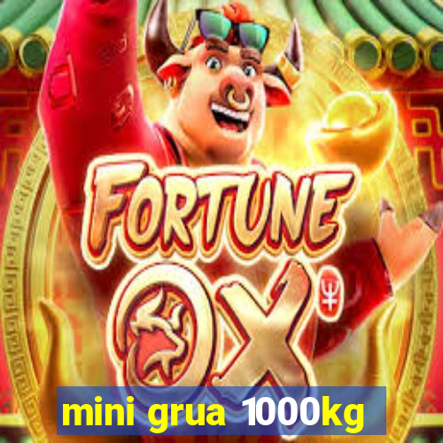 mini grua 1000kg