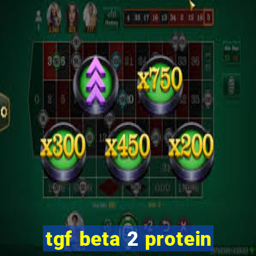 tgf beta 2 protein