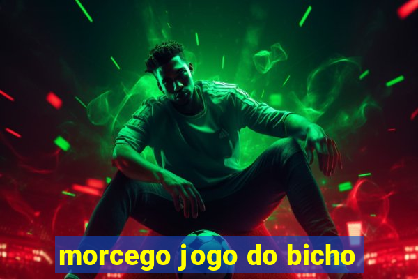 morcego jogo do bicho