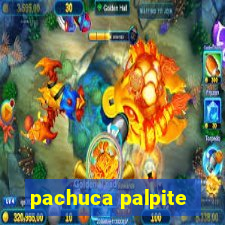 pachuca palpite