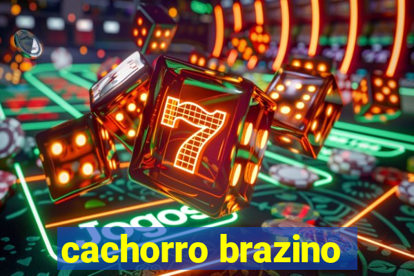 cachorro brazino