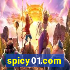 spicy01.com