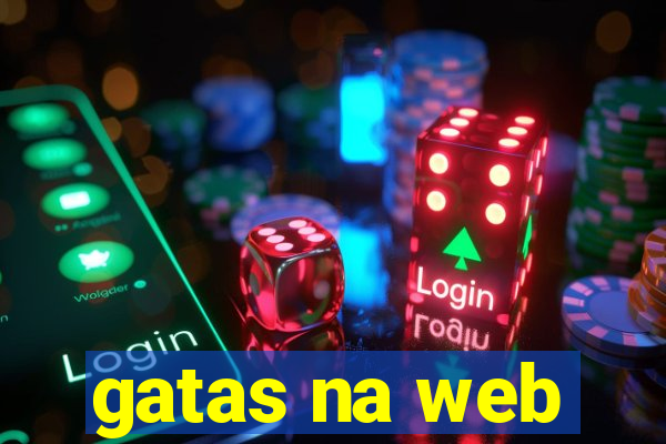 gatas na web