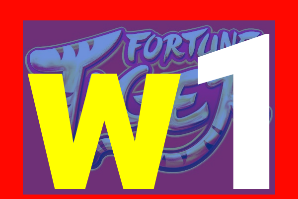 w1-futebolpg.com